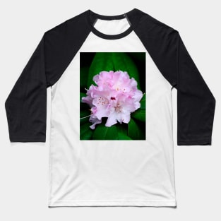 Rhododendron Baseball T-Shirt
